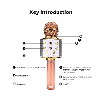 Wireless Karaoke Mic, Dual Way Connection Noise Reduction Rich Interface Wireless